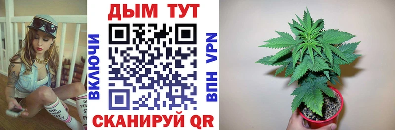 Канабис планчик Болгар
